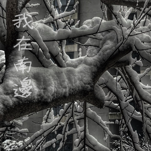 美女少妇第一次体验黑人
