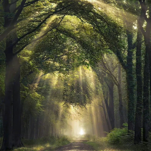 美女少妇第一次体验黑人
