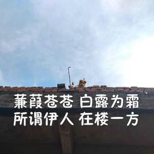 美女少妇第一次体验黑人
